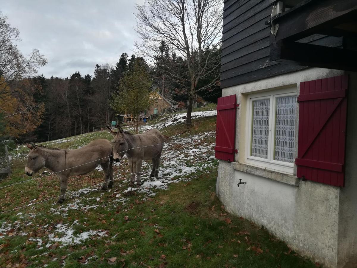 Le Chalet De Rothenbuhl Dabo Buitenkant foto