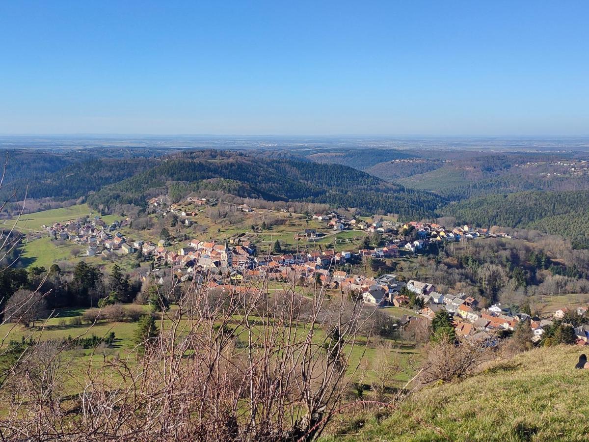 Le Chalet De Rothenbuhl Dabo Buitenkant foto